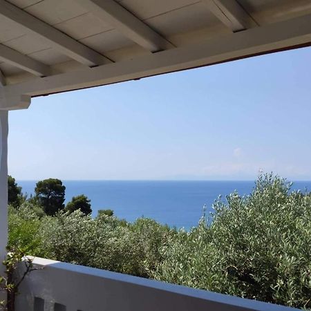 Appartement Elia House 1 Astoning Sea View Among The Olive Trees à Patitiri Extérieur photo