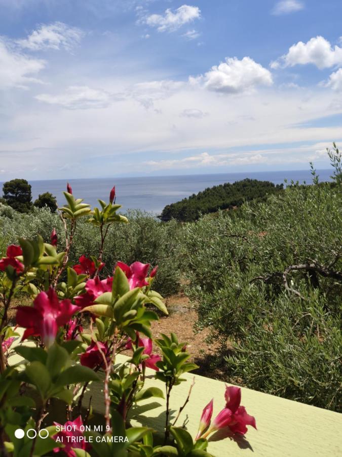Appartement Elia House 1 Astoning Sea View Among The Olive Trees à Patitiri Extérieur photo