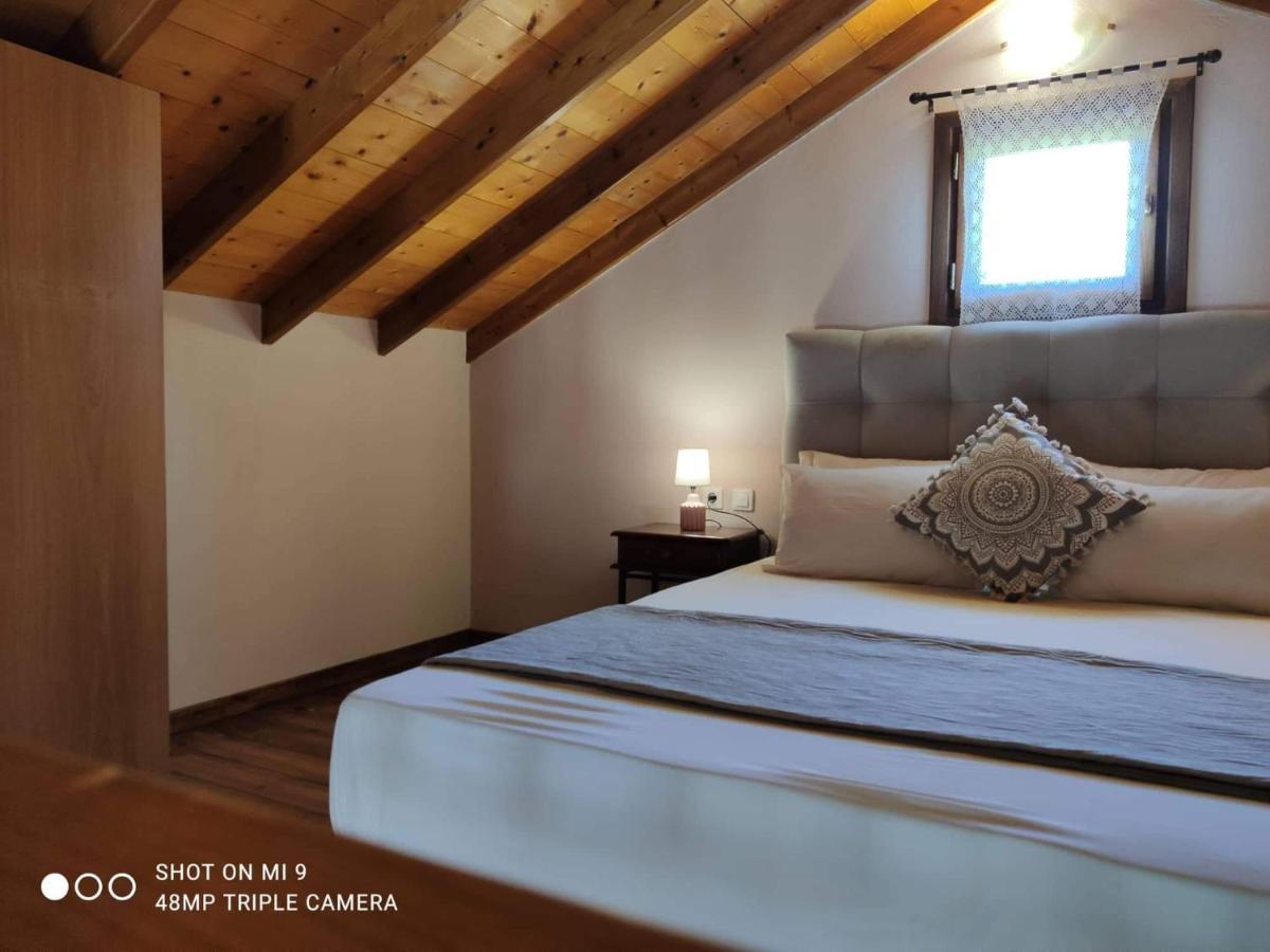 Appartement Elia House 1 Astoning Sea View Among The Olive Trees à Patitiri Extérieur photo