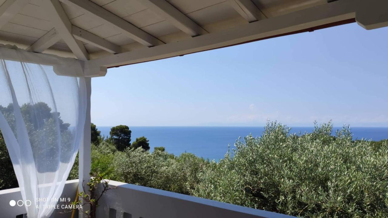 Appartement Elia House 1 Astoning Sea View Among The Olive Trees à Patitiri Extérieur photo