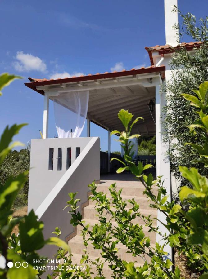 Appartement Elia House 1 Astoning Sea View Among The Olive Trees à Patitiri Extérieur photo