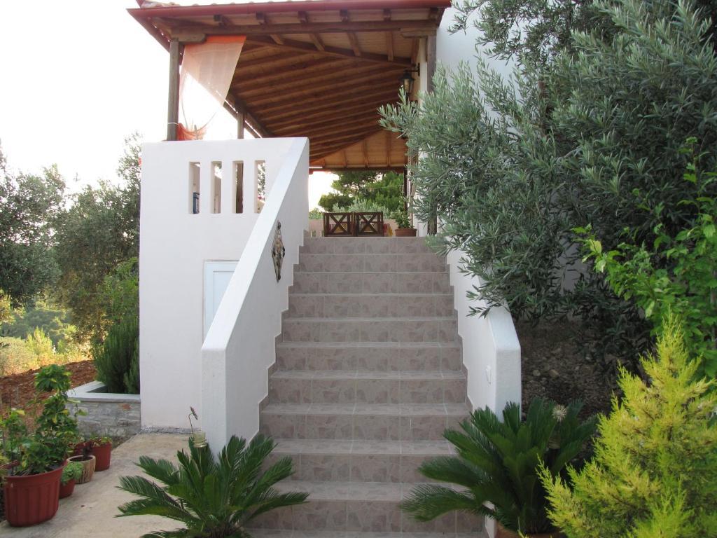 Appartement Elia House 1 Astoning Sea View Among The Olive Trees à Patitiri Chambre photo